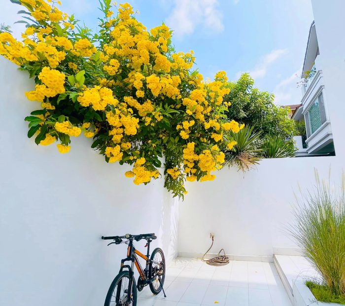 Ca sĩ Thủy Tiên gây chú ý khi đăng tải hình ảnh được chiếc xe đạp địa. Ảnh: FBNV