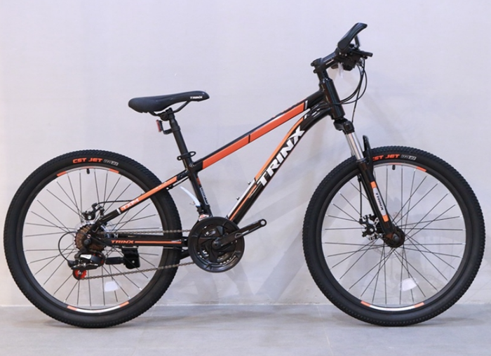 Xe đạp 5 triệu của ca sĩ Thủy Tiên Ảnh 3