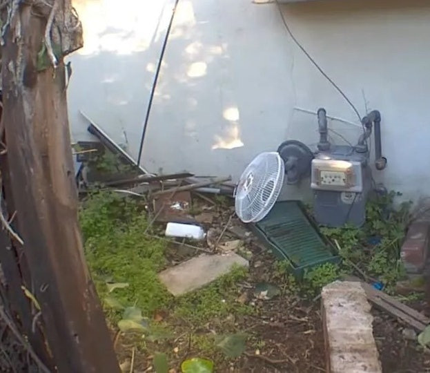 Nhà cửa nhiều lần bị phá hoại, người đàn ông kinh hãi khi phát hiện con 'quái vật' 200 ký sống trong nhà Ảnh 1