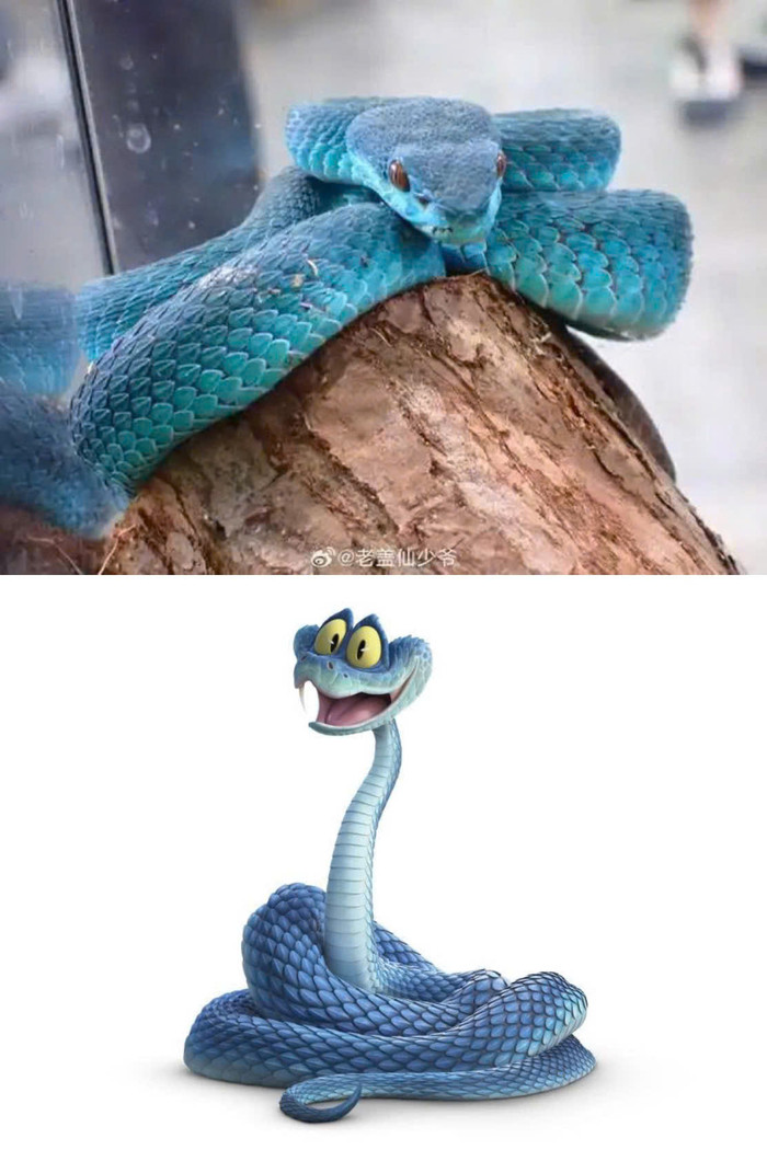 Ngoại hình tương tự của nhân vật Gary và loài rắn lục tre Indonesia khiến giới trẻ Trung Quốc tìm mua ráo riết ngoài đời