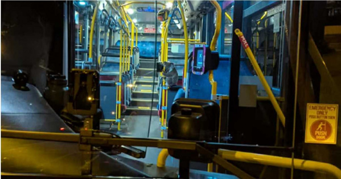 'Vị khách đặc biệt' xuất hiện trên xe buýt, câu chuyện đằng sau gây xúc động Ảnh 2