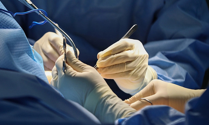 Ảnh minh họa&nbsp;