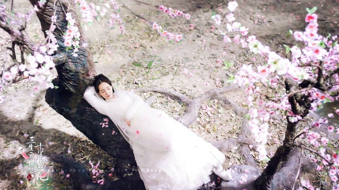 Dương Mịch khẳng định vị thế qua vai diễn Bạch Thiển.