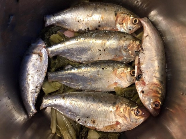 Món cá kho đặc sản của Hải Phòng, ăn một lúc hết 5 bát cơm Ảnh 2
