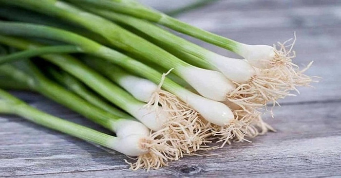 Hành lá là món ăn khoái khẩu của nhiều người.