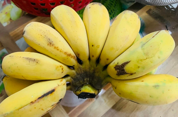 (Ảnh minh họa từ Internet)