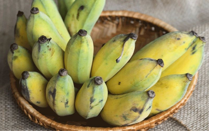 Nếu ăn đúng cách, chuối sẽ mang lại lợi ích cho sức khỏe. (Ảnh minh họa từ Internet)