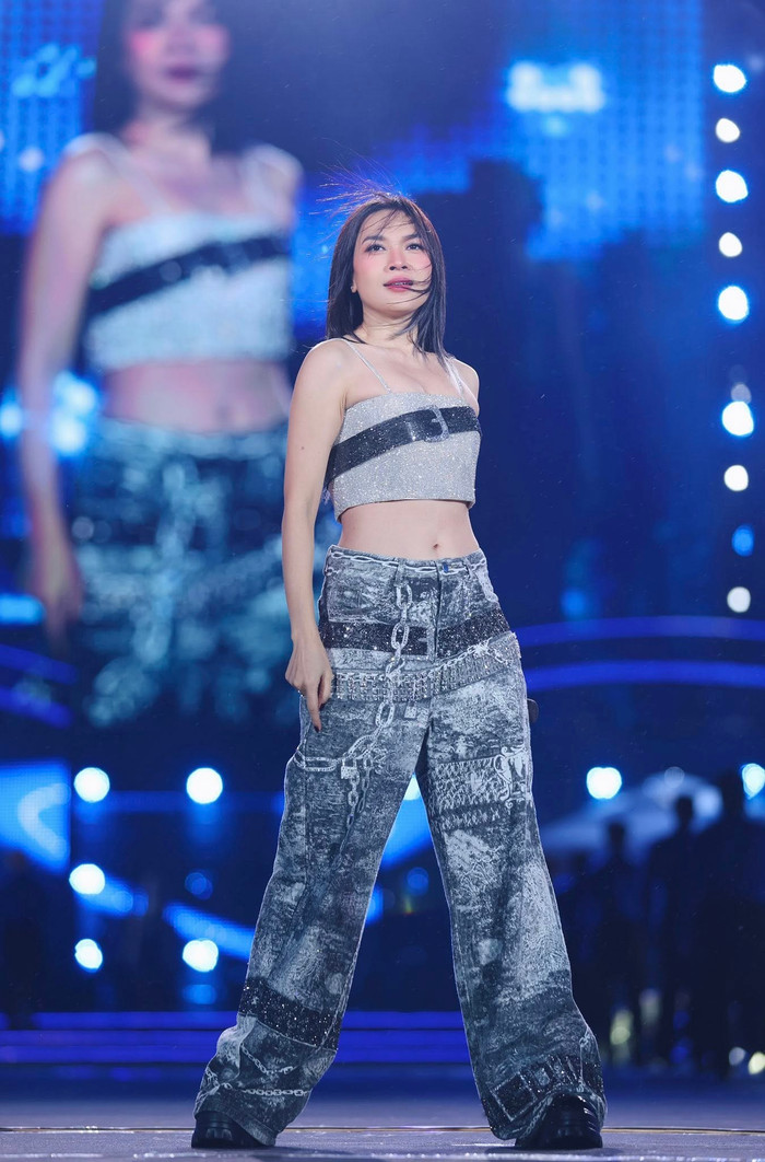 Mỹ Tâm từng nhiều lần bị giả mạo hình ảnh. (Ảnh FBNV)