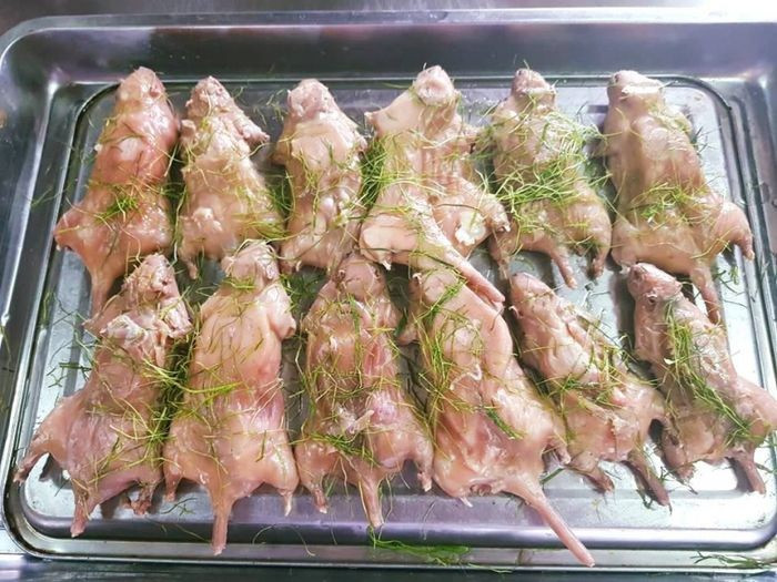 Nhìn bên ngoài, chuột đồng dễ khiến nhiều người khiếp vía nhưng ai ăn được là cực ghiền. (Ảnh minh họa từ Internet)