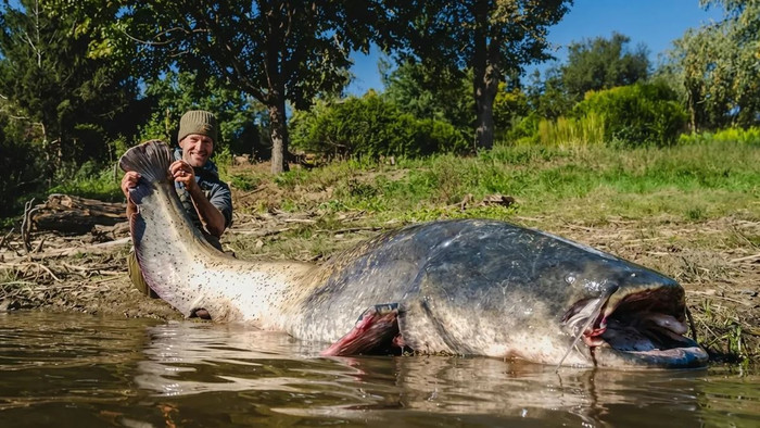 Người đàn ông 2 lần câu được 'thủy quái' nước ngọt, kích thước gây sốc Ảnh 2