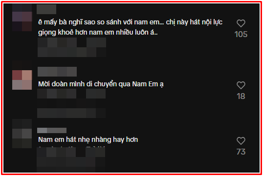 Phương Trinh Jolie lên tiếng khi bị so sánh với Nam Em Ảnh 3