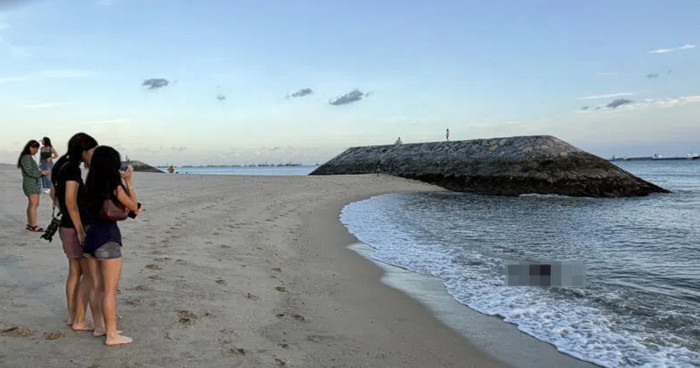 Đang chụp hình trên bãi biển, nữ sinh 'rụng rời tay chân' khi thấy một thứ trôi dạt vào bờ Ảnh 2