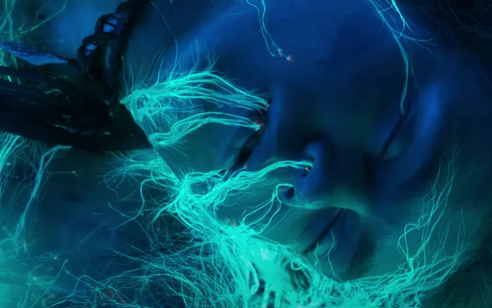 Khoảnh khắc Spider kết nối với Eywa, đánh dấu bước tiến hóa sinh học mang tính cách mạng đối với con người trên Pandora