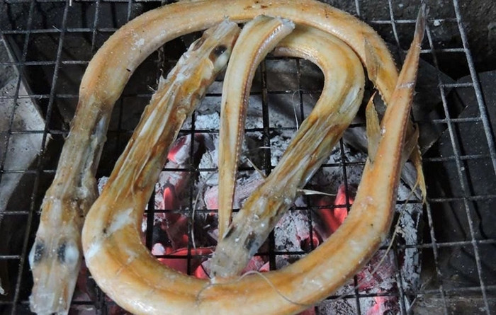 Ảnh từ Internet.