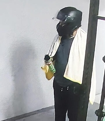 Phát hiện 'vị khách' khổng lồ dài hơn 1 mét trên nóc chung cư, người dân không dám mở cửa sổ Ảnh 2