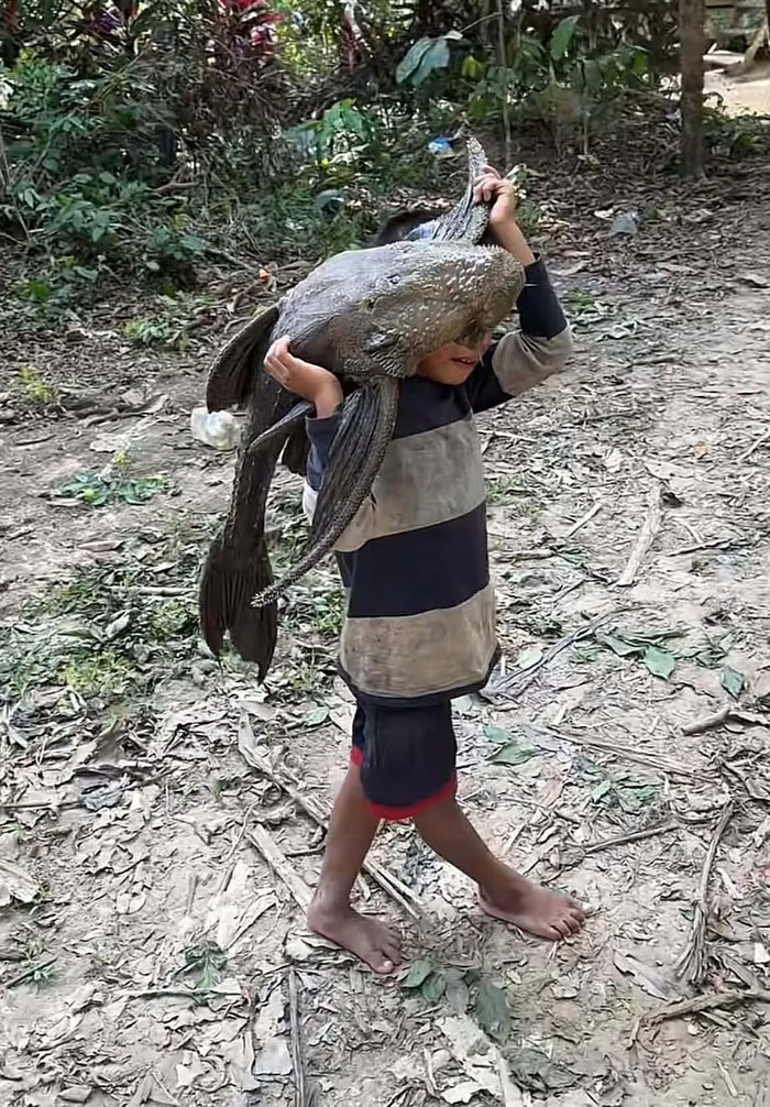 Cậu bé bắt được con 'thủy quái' vác đi khắp làng, người dân hoảng hồn Ảnh 2