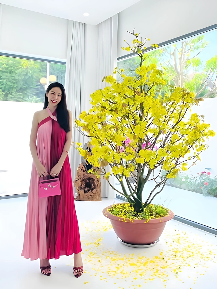 Ca sĩ Thủy Tiên giàu cỡ nào mà 1 năm qua chỉ ăn cơm với nước tương và xoài? Ảnh 2