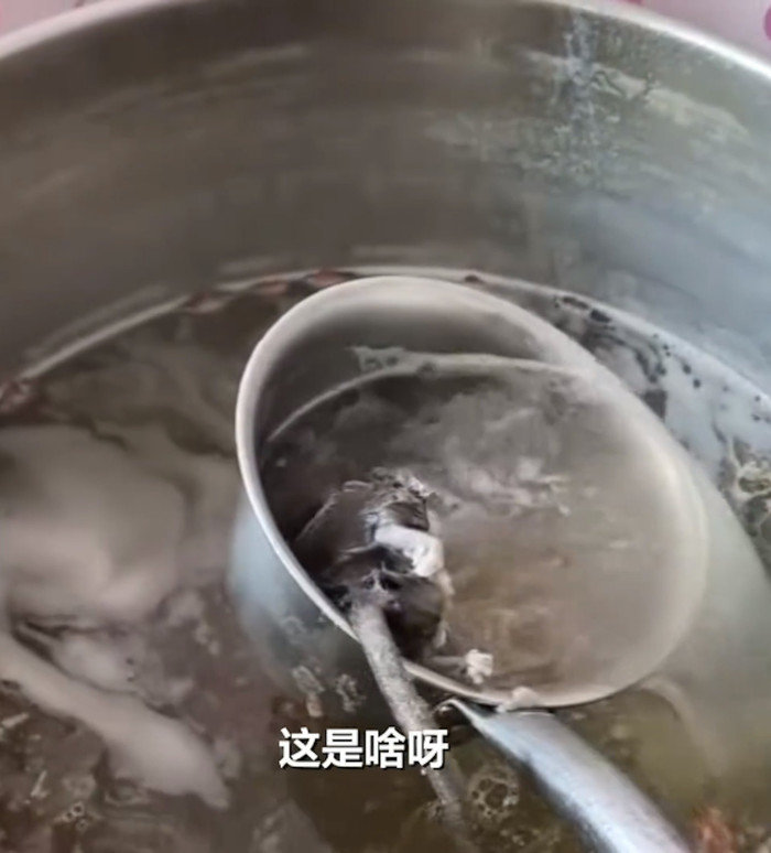 Đi ăn sáng ở nhà hàng, người phụ nữ kinh hoàng khi phát hiện thứ trong nồi canh Ảnh 2