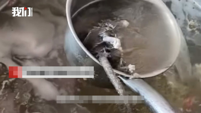 Đi ăn sáng ở nhà hàng, người phụ nữ kinh hoàng khi phát hiện thứ trong nồi canh Ảnh 3