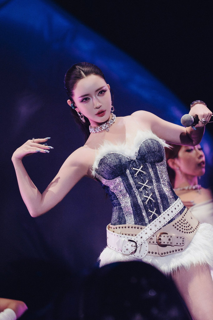 Nữ ca sĩ Việt được mời hát 3 bài giá 600 triệu đồng, danh tính chẳng xa lạ Ảnh 4