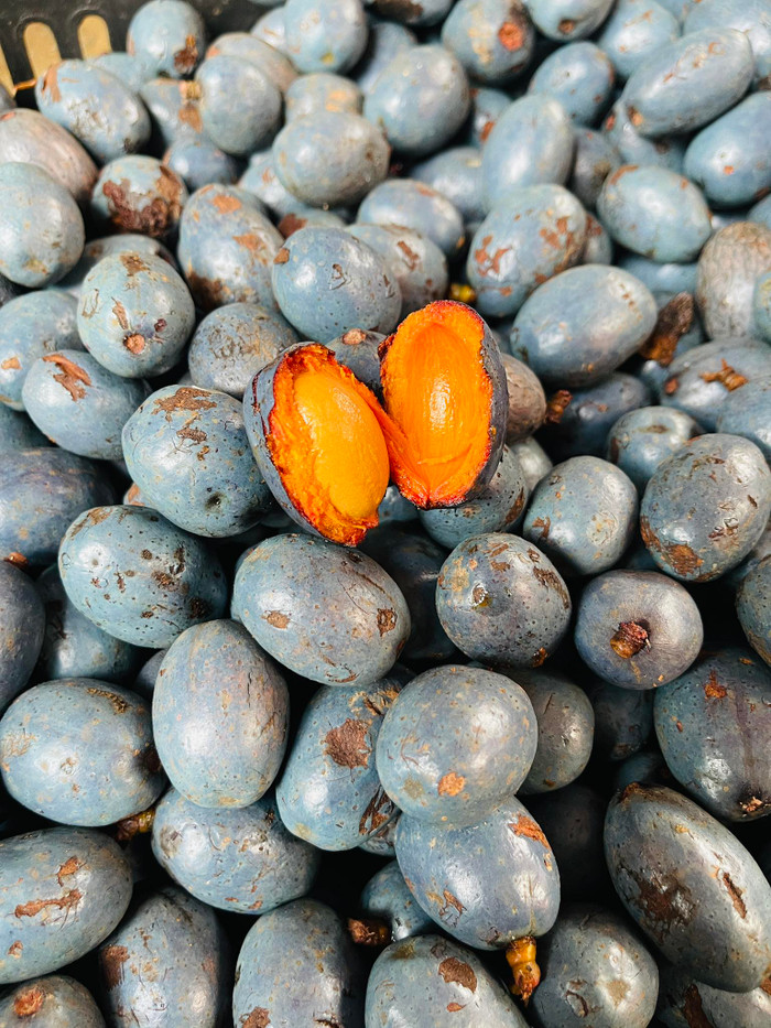 Hình ảnh bên ngoài của quả cọ.