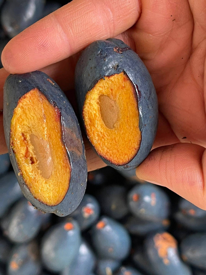 Loại quả đen sì ở Phú Thọ bất ngờ nổi lên như cồn, người khen béo bùi, người chê 'rùng mình' khi vừa cắn thử Ảnh 7