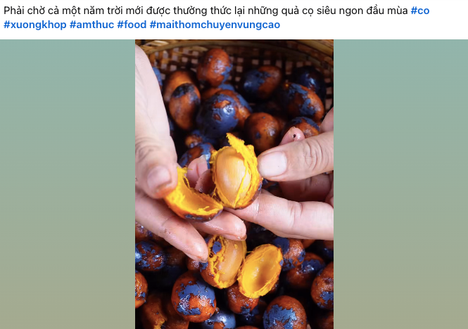 Bên cạnh những ý kiến cho rằng quả cọ khó ăn, nhiều người lại tỏ ra thích thú vô cùng với loại quả này.