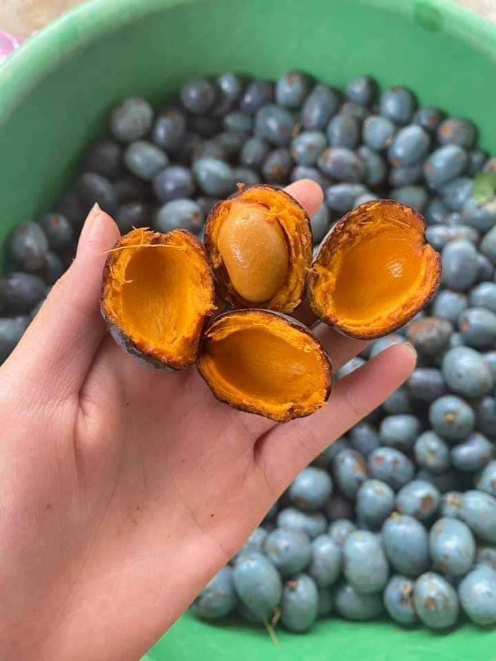 Với nhiều người, quả cọ là món ăn khơi gợi ký ức quê hương.