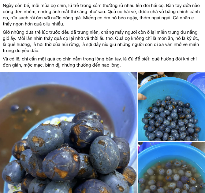 Loại quả đen sì ở Phú Thọ bất ngờ nổi lên như cồn, người khen béo bùi, người chê 'rùng mình' khi vừa cắn thử Ảnh 2