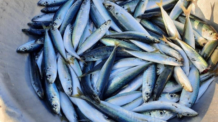 Ảnh minh họa từ Internet.