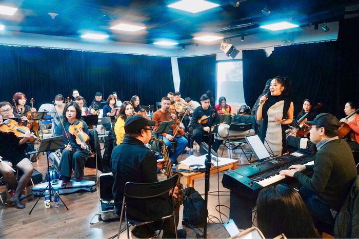 Diva Hồng Nhung, Hà Trần không nhận được cát-xê, đau lòng khi đêm nhạc bị hủy Ảnh 1