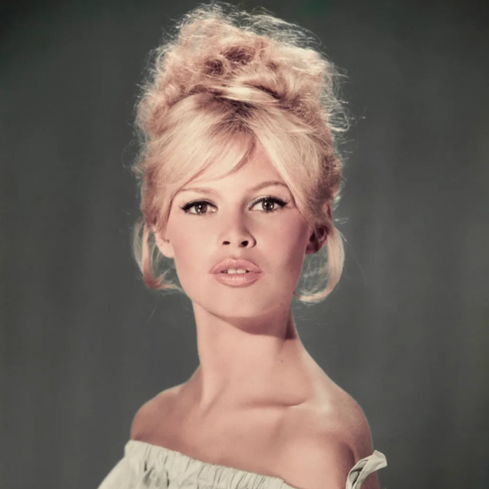 Brigitte Bardot đã qua đời ở tuổi 91. Ảnh: BBC&nbsp;