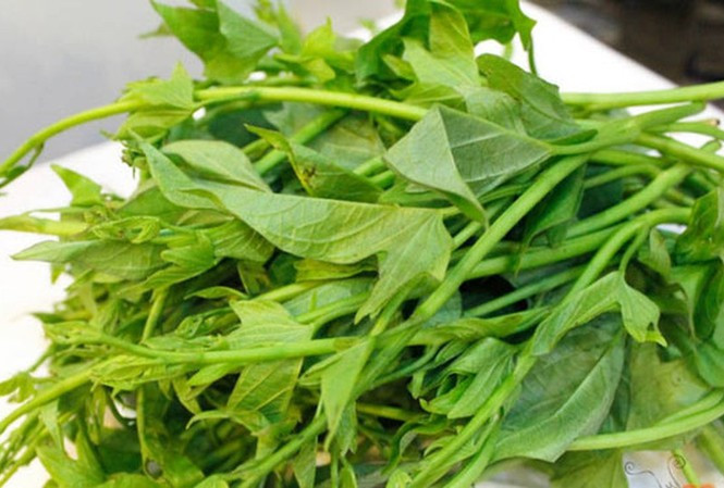 Ảnh minh họa từ Internet.