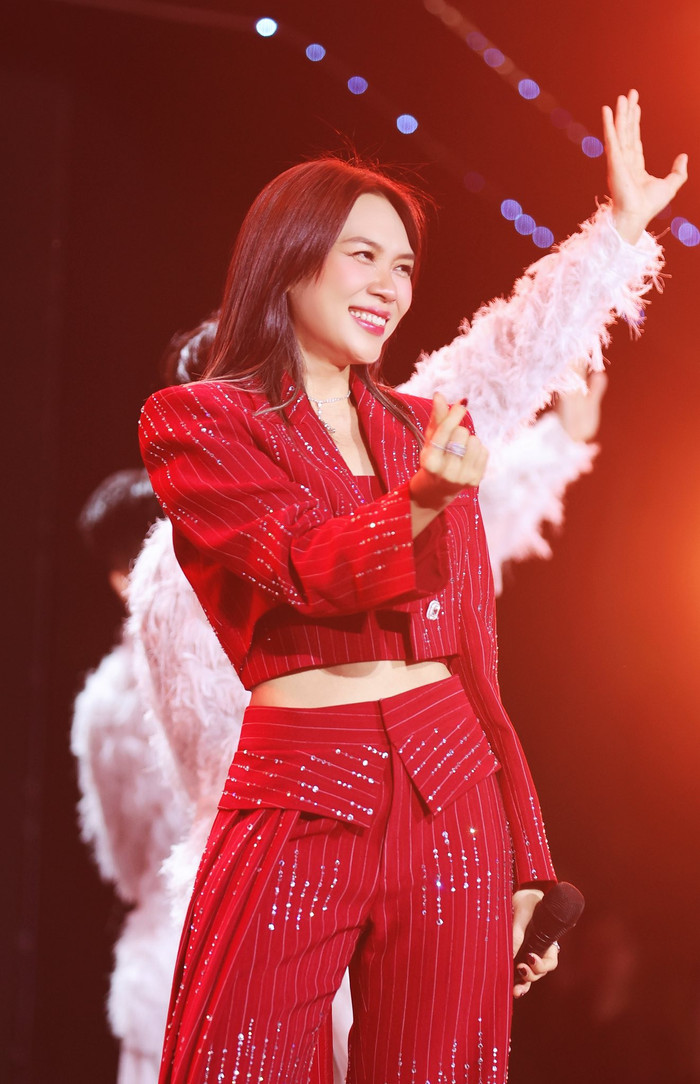 Đa số khán giả cho rằng Mỹ Tâm đã có một năm làm việc chăm chỉ, gặt hái nhiều thành tựu đáng ngưỡng mộ. Ảnh: FBNV