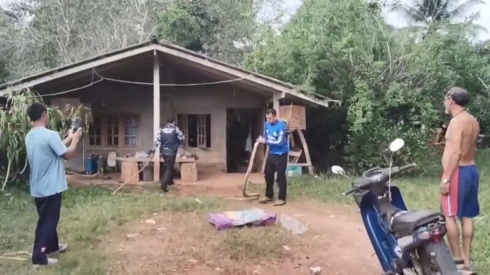 Dọn nhà đón năm mới, chủ nhà sửng sốt khi phát hiện 'vị khách' nguy hiểm Ảnh 1