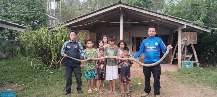 Dọn nhà đón năm mới, chủ nhà sửng sốt khi phát hiện 'vị khách' nguy hiểm Ảnh 3