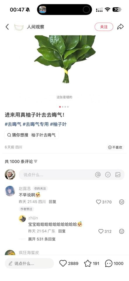 Triệu Lộ Tư trả lời bình luận của fan là “Sao không nói sớm” - Ảnh: Weibo