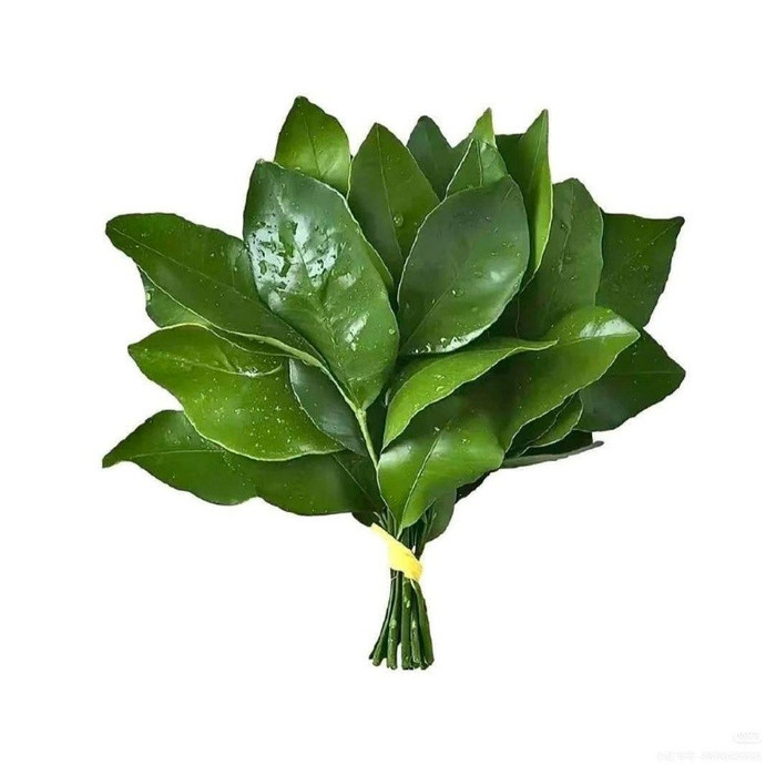 Ảnh đại diện là 'lá bưởi' của Triệu Lộ Tư - Ảnh:  Weibo