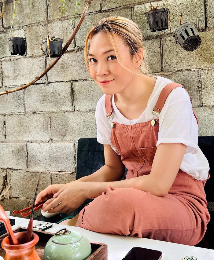 Mỹ Tâm từng sử dụng chiếc điện thoại 4 triệu. Ảnh: IGNV