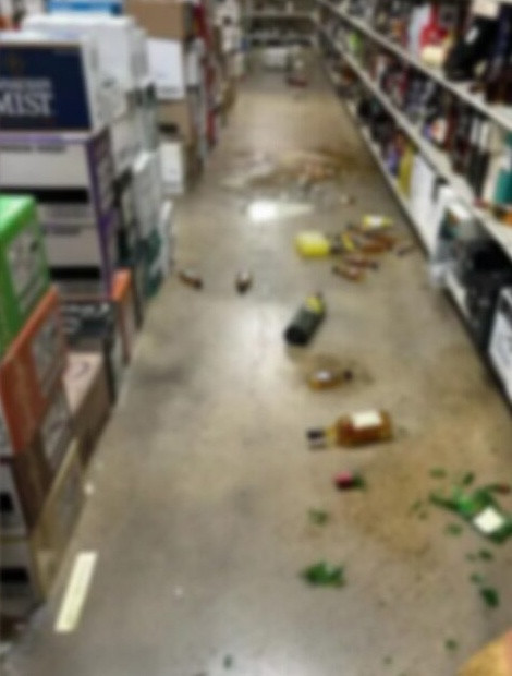 Con thú say rượu đột nhập vào nhà người dân quậy phá, hiện trường khó tin Ảnh 1