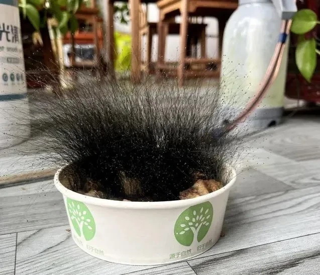 Để quên bát cơm ở văn phòng nửa tháng, người đàn ông tá hỏa trước cảnh tượng khi đi làm trở lại Ảnh 2