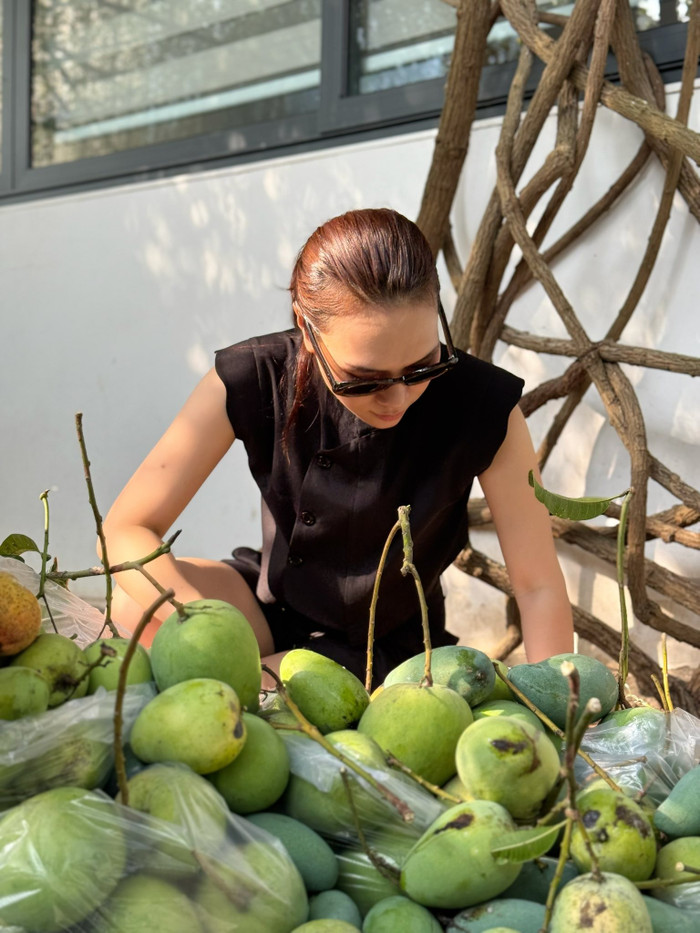 Vườn trái cây 'khủng' của ca sĩ Mỹ Tâm, cách nữ ca sĩ tiêu thụ gây bất ngờ Ảnh 1