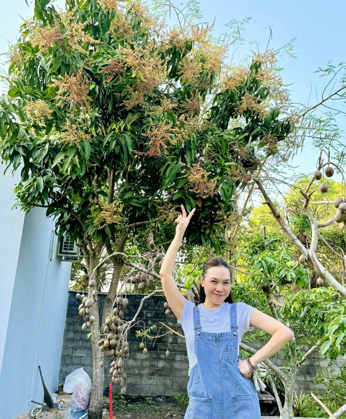 Nữ ca sĩ khoe hình ảnh chụp cạnh cây cóc sum suê quả, cây xoài cũng đầy hoa.