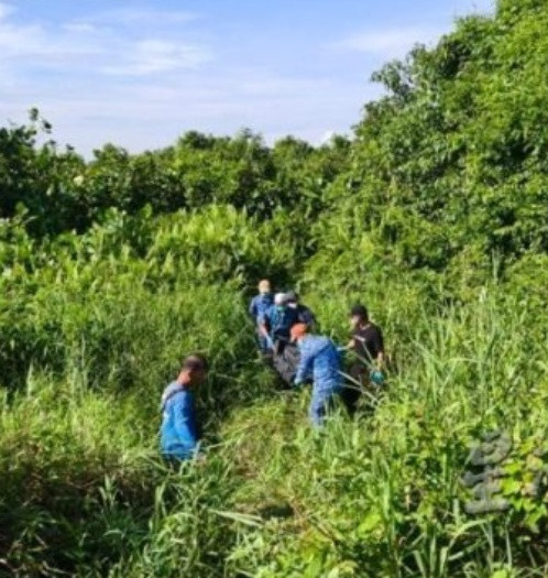 Phát hiện người mẹ mù bò ra từ khu rừng, cảnh sát bàng hoàng trước cảnh tượng trong căn lều cũ Ảnh 2