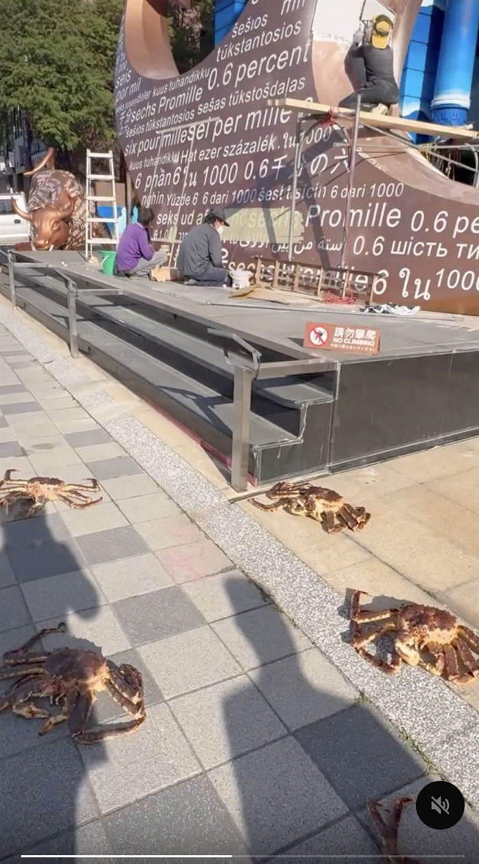 Hàng chục con cua hoàng đế khổng lồ nằm ngổn ngang trên vỉa hè, người đi đường hoang mang Ảnh 1