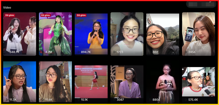 Lộ danh tính người phát tán các đoạn clip của Phương Mỹ Chi Ảnh 3