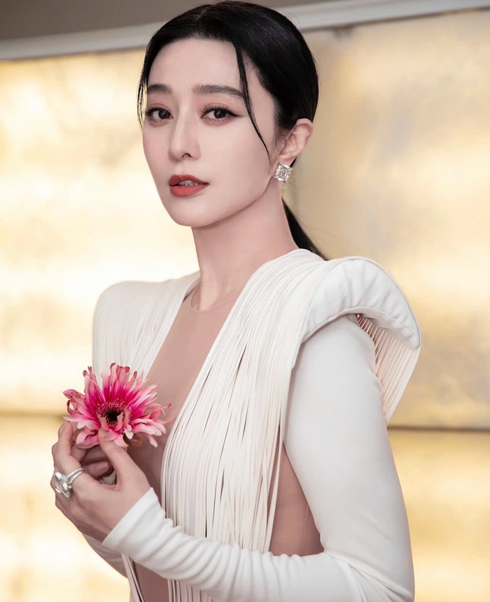 Phạm Băng Băng sở hữu sự nghiệp rực rỡ trước khi vướng vào bê bối trốn thuế.