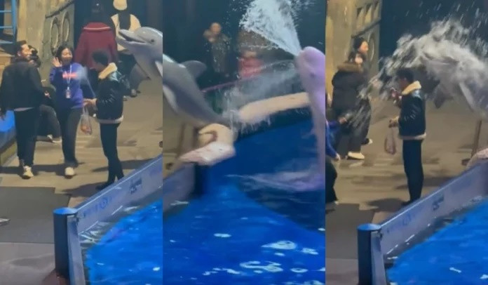 Hút thuốc trong thủy cung bất chấp nhắc nhở từ nhân viên, nam du khách nhận 'cái kết' không ai ngờ đến Ảnh 2