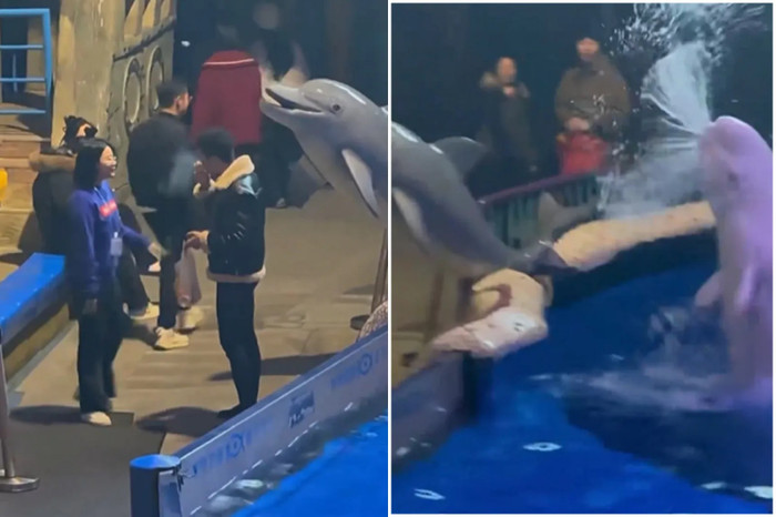 Hút thuốc trong thủy cung bất chấp nhắc nhở từ nhân viên, nam du khách nhận 'cái kết' không ai ngờ đến Ảnh 1