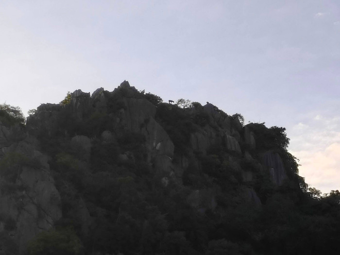 Phát hiện con vật quý hiếm trên sườn núi, cảnh tượng gây ngỡ ngàng Ảnh 3